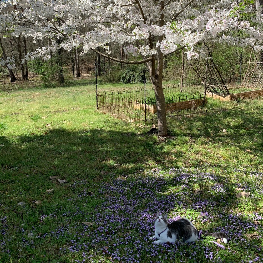 Meet your Posher, Xiaoyuan